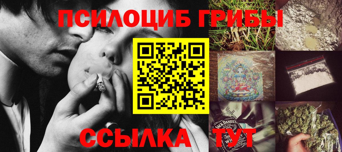 Строитель  Галлюциногенные грибы Psilocybe  Вход с VPN  Галлюциногенные грибы Psilocybe 